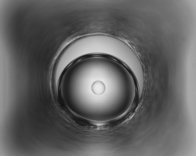 X0000094940056200711291401