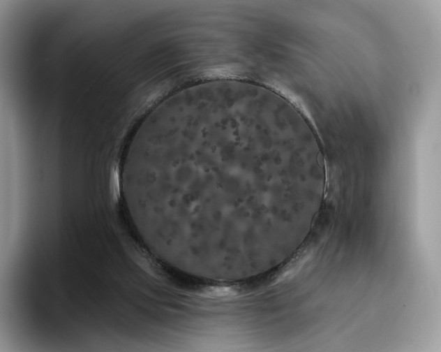 X0000094940061200711291401