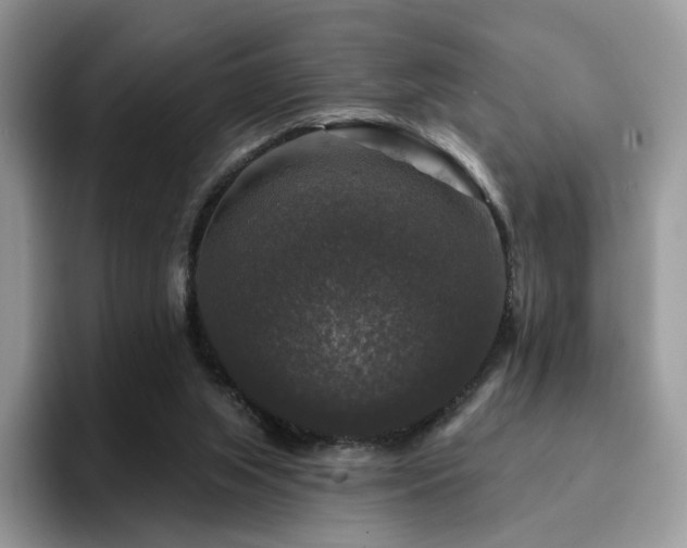 X0000094940063200711291401