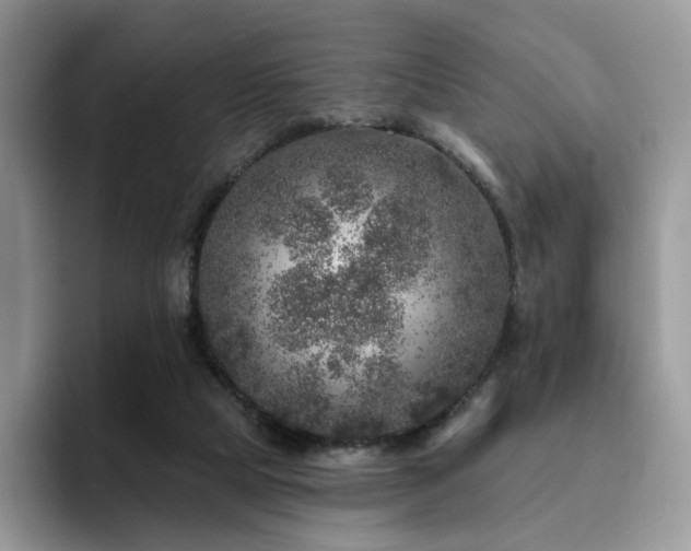 X0000094940065200711291401