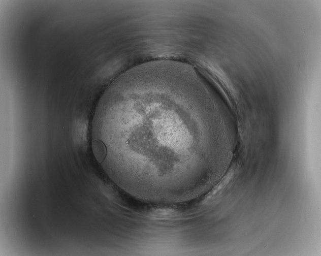 X0000094940066200711291401