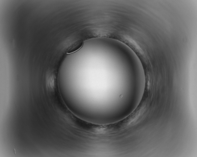 X0000094940071200711291402