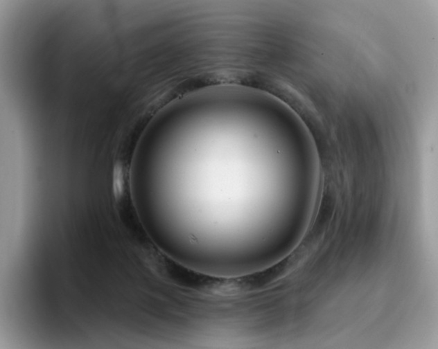 X0000094940075200711291402