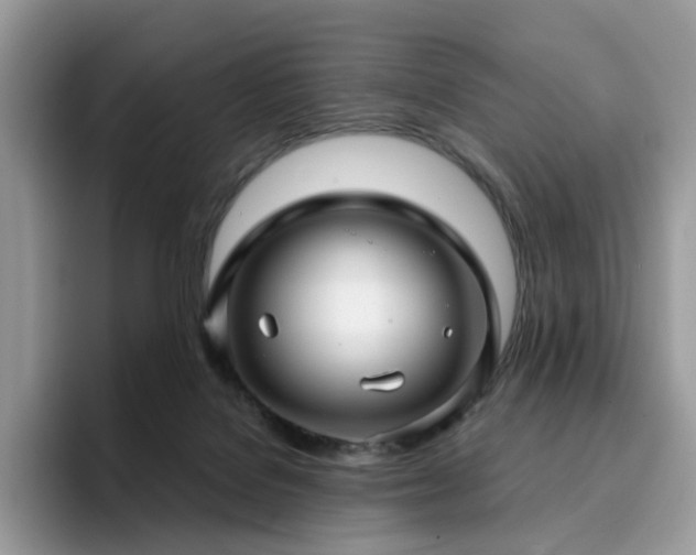 X0000094940076200711291402