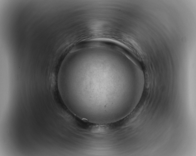 X0000094940077200711291402