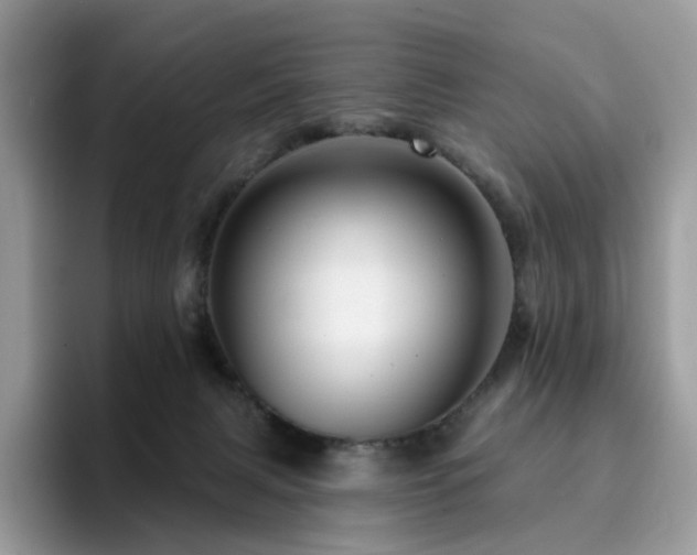 X0000094940079200711291402