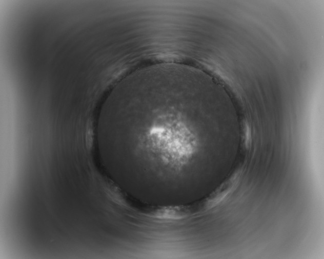 X0000094940080200711291402