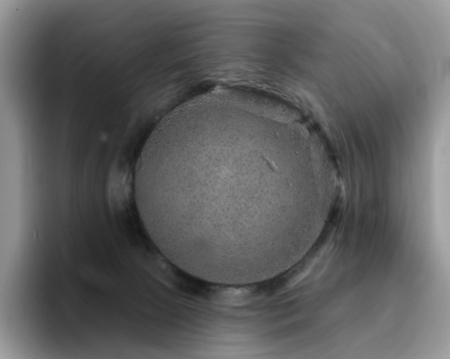 X0000094940081200711291402