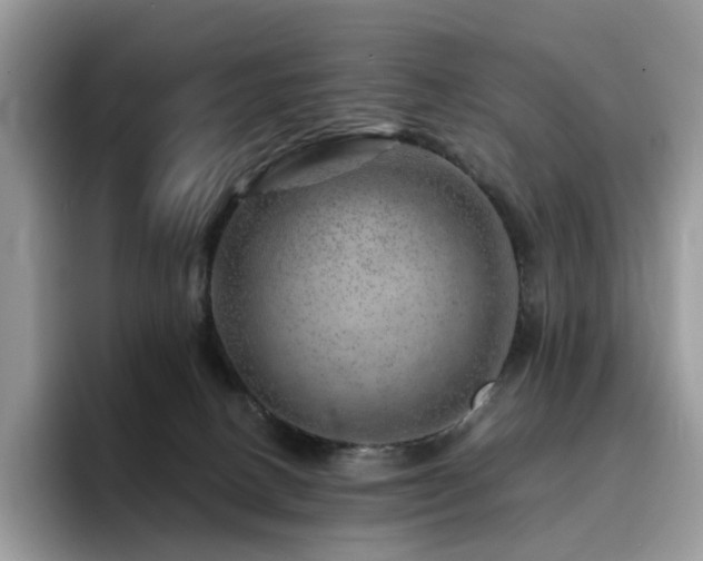 X0000094940082200711291402