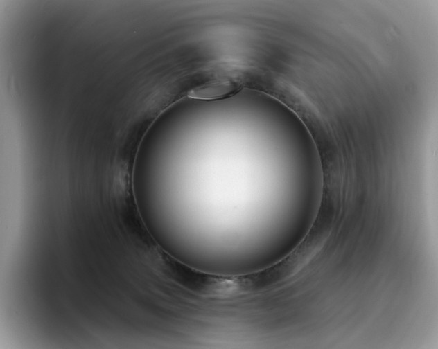 X0000094940083200711291402