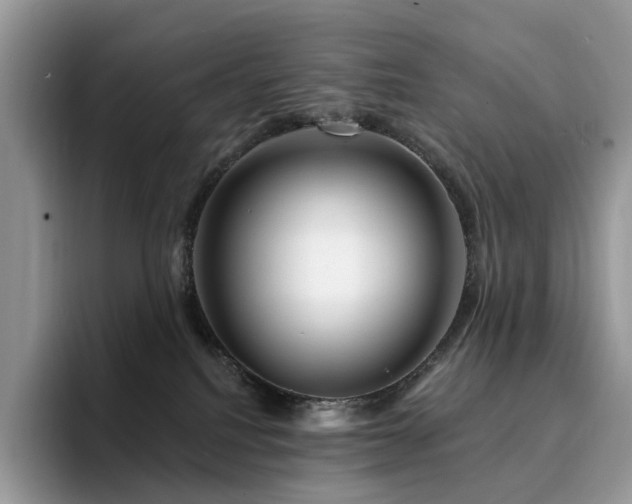 X0000094940088200711291402