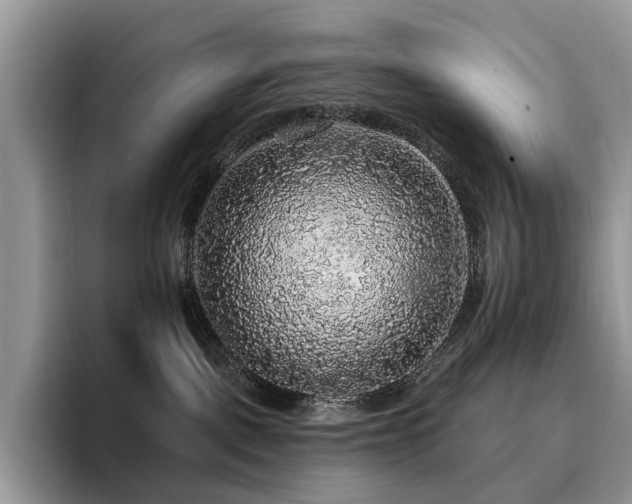 X0000094940093200711291402