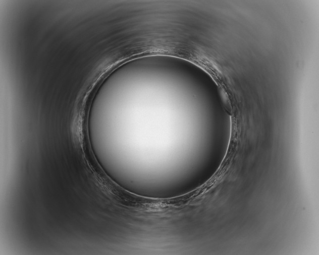 X0000094940098200711291401