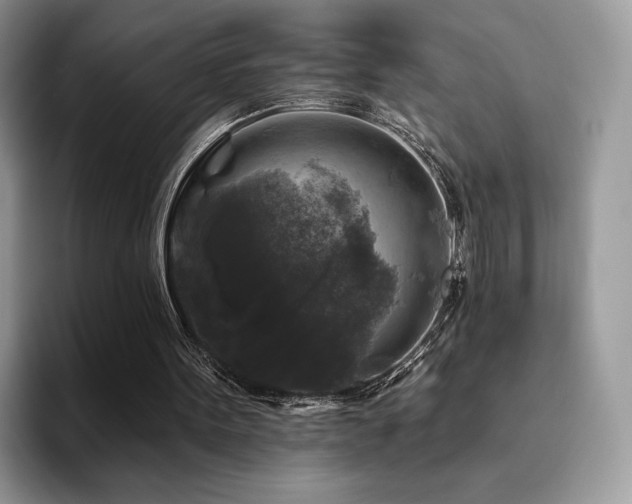 X0000094940099200711291401