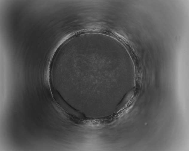 X0000094940100200711291401