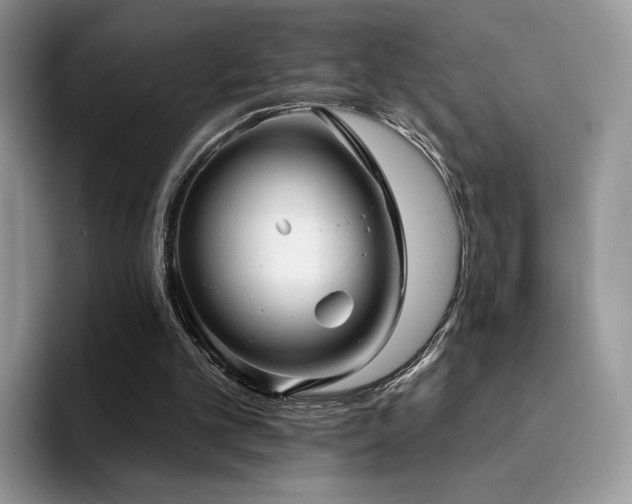 X0000094940101200711291401