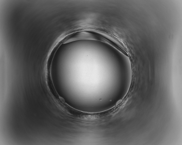 X0000094940102200711291401