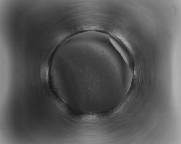 X0000094940110200711291401