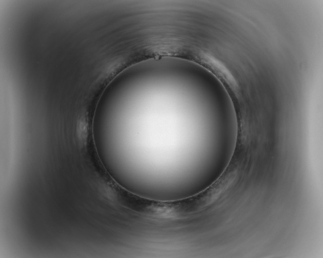 X0000094940113200711291401