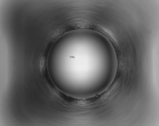 X0000094940121200711291401