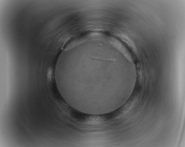 X0000094940123200711291401