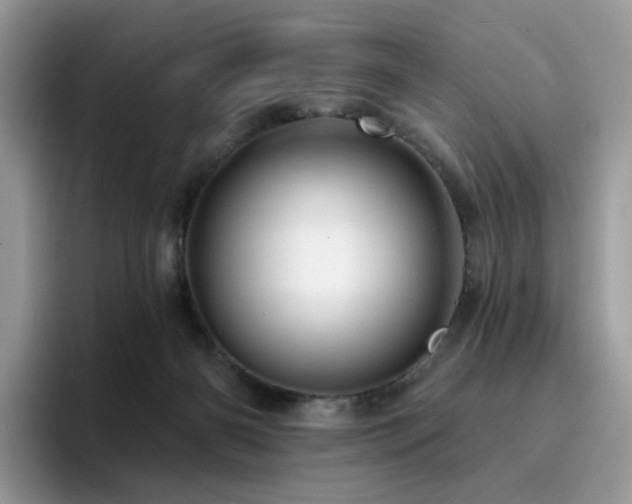 X0000094940126200711291401