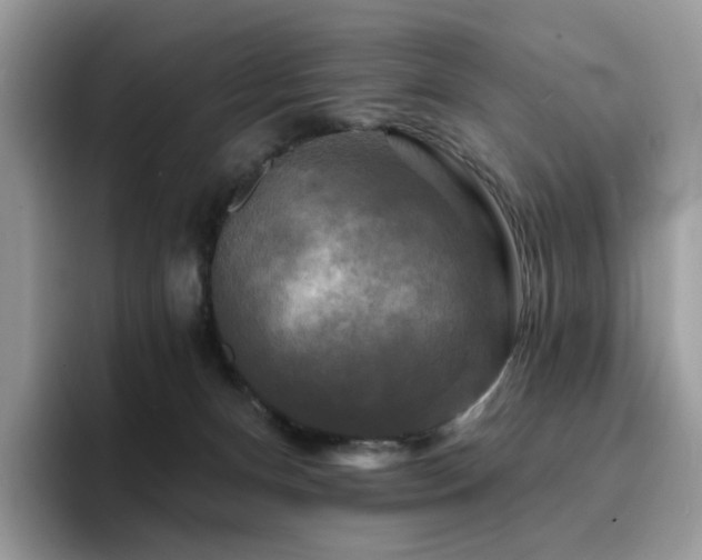 X0000094940128200711291401