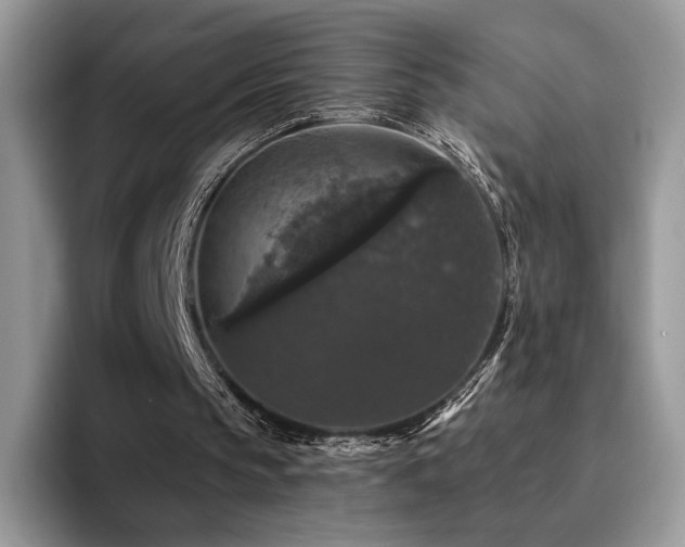 X0000094940145200711291400