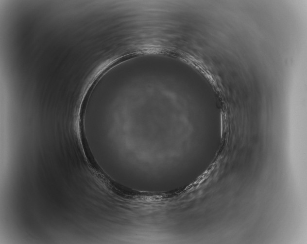 X0000094940147200711291400