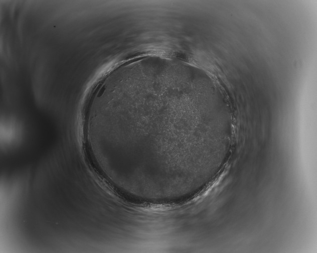 X0000094940149200711291400