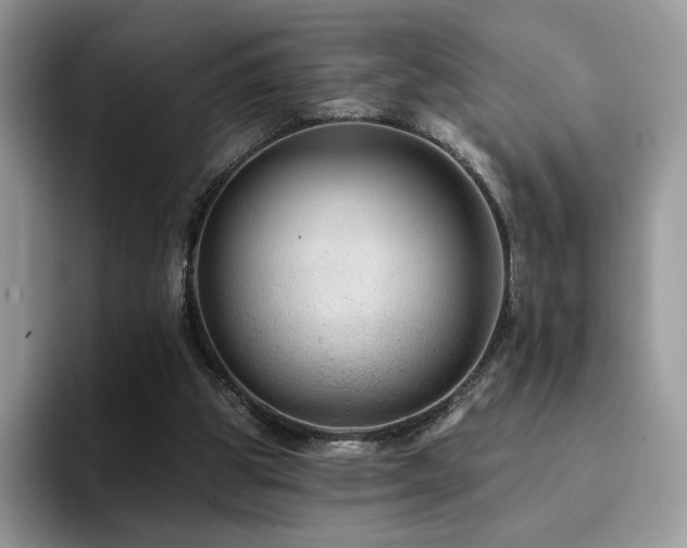 X0000094940153200711291400