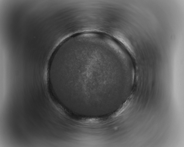 X0000094940156200711291400