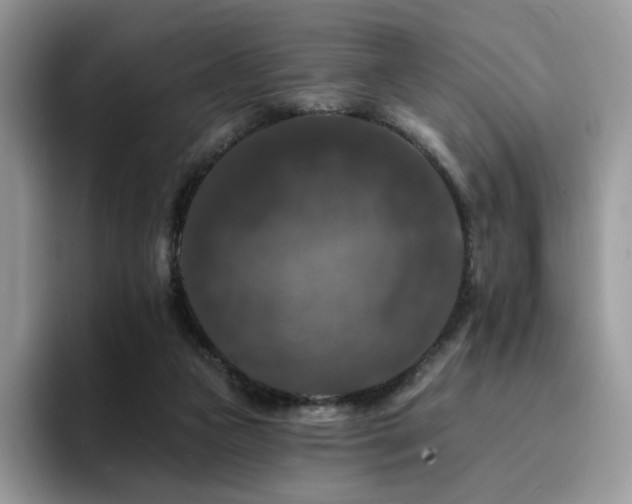 X0000094940161200711291400