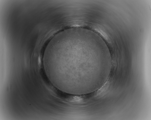 X0000094940166200711291400