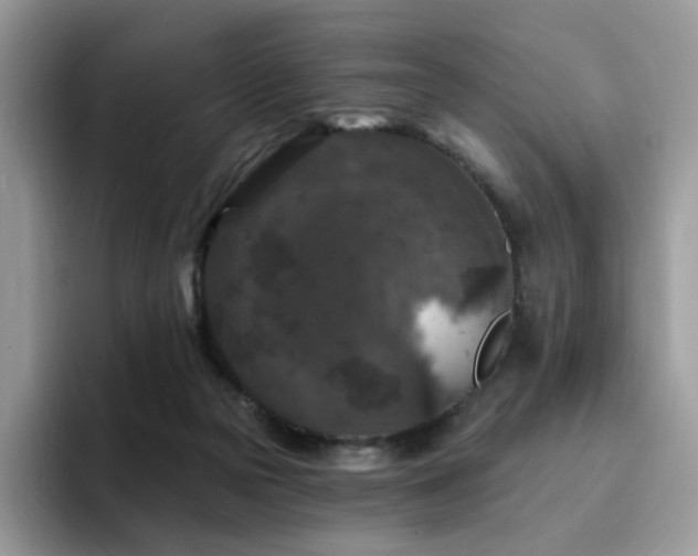 X0000094940169200711291400