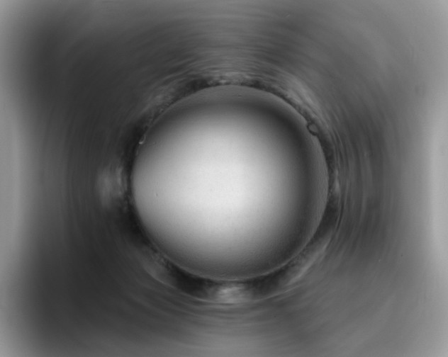 X0000094940173200711291400