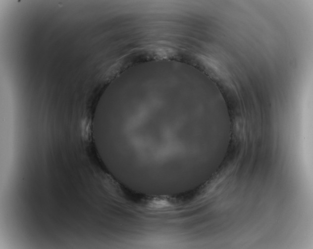 X0000094940177200711291400