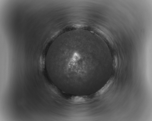 X0000094940180200711291400