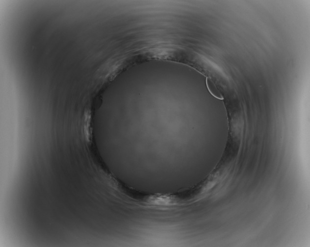 X0000094940181200711291400