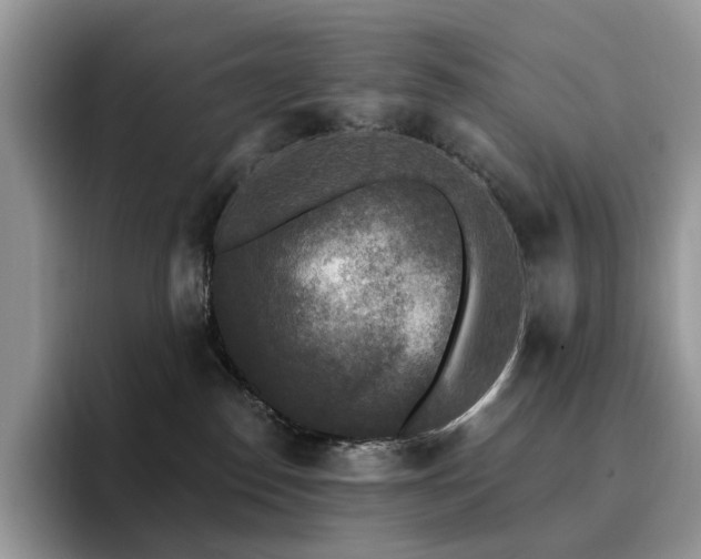 X0000094940186200711291401