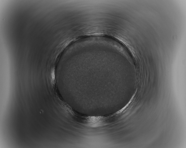 X0000094940192200711291401