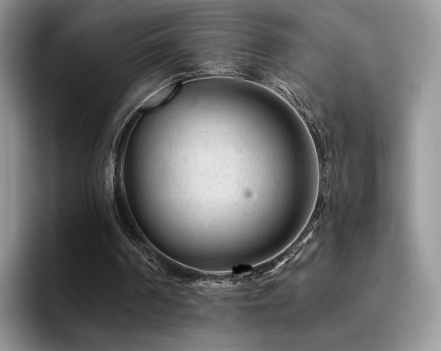 X0000094940194200711291400