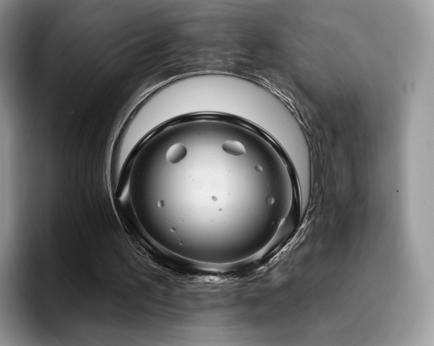 X0000094940195200711291400