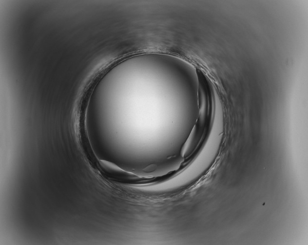 X0000094940197200711291400