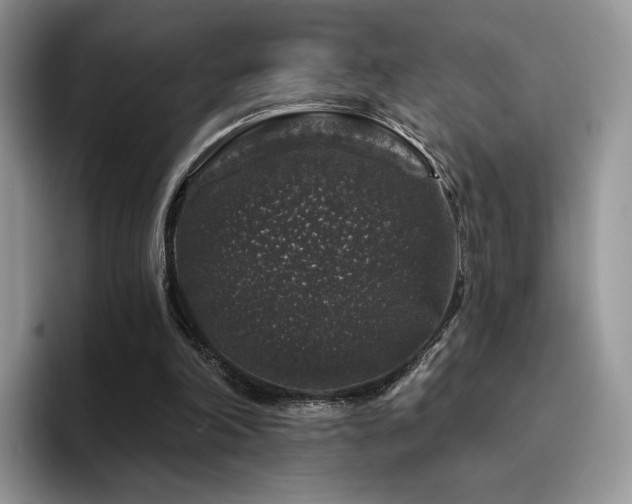 X0000094940198200711291400