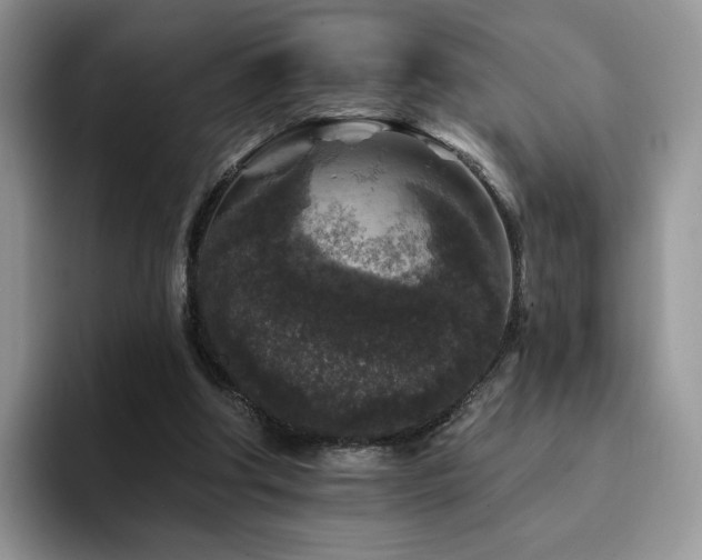 X0000094940202200711291400