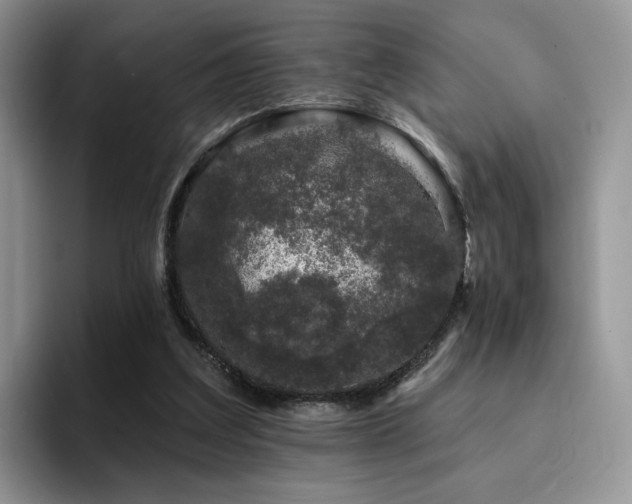 X0000094940203200711291400