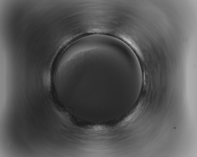 X0000094940204200711291400