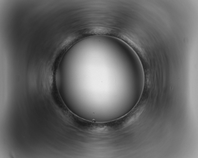 X0000094940206200711291400