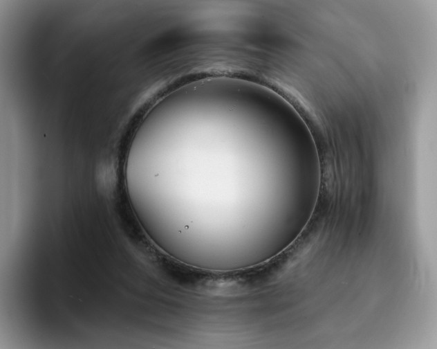 X0000094940208200711291400